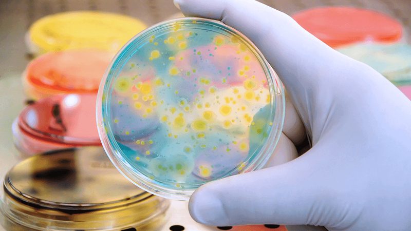 北京分子试剂储存标准：确保科研安全与质量的关键**