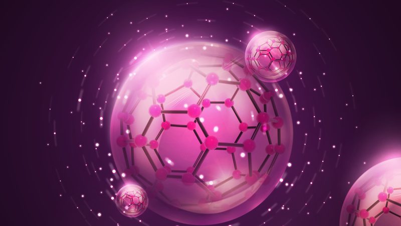 Western blot试剂使用流程：关键步骤与注意事项**