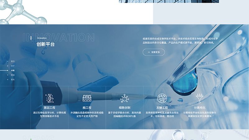 CDMO项目评估表格：评估关键要素与选型指南