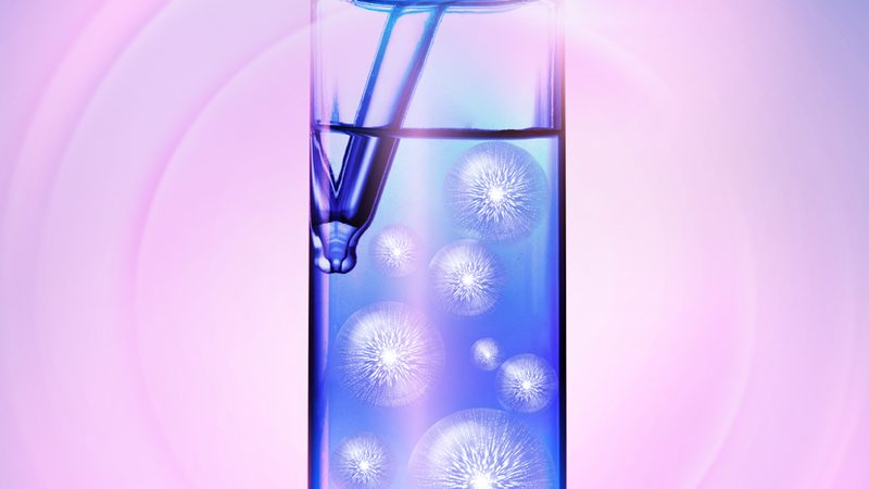 上海生物试剂报价背后的考量因素