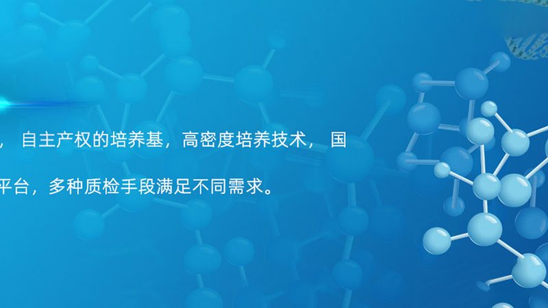 生物医药外包公司：揭秘其优缺点与行业影响