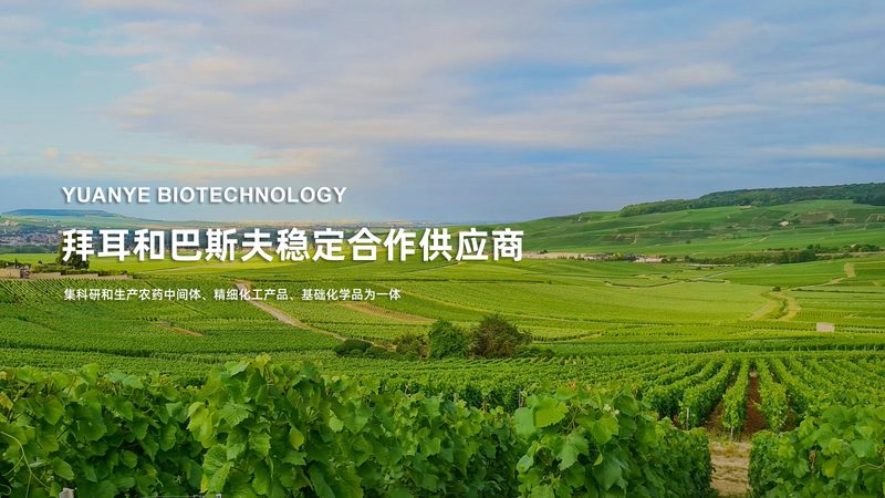 PCR检测报告，医院出具时间揭秘