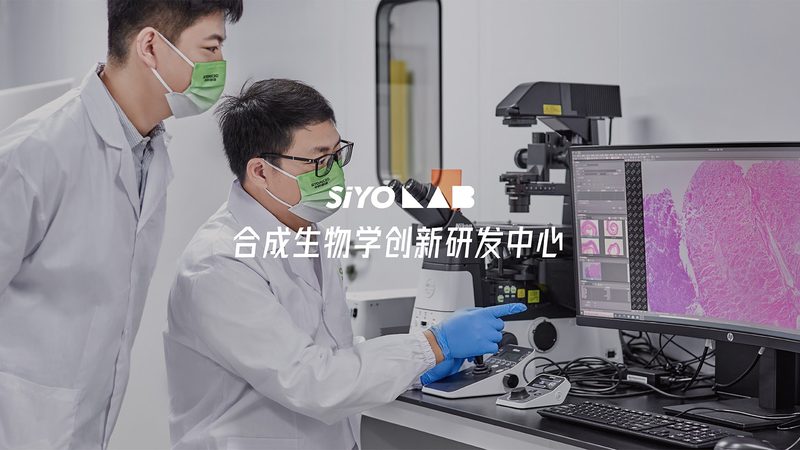 CRo实验设计规范流程：揭秘医药研发的关键步骤