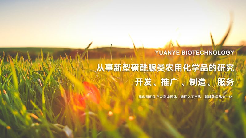 离心管选购：如何避免陷入误区，选择合适的产品**