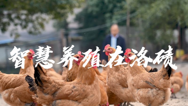 生物试剂耗材材质揭秘：如何选择合适的材料？**