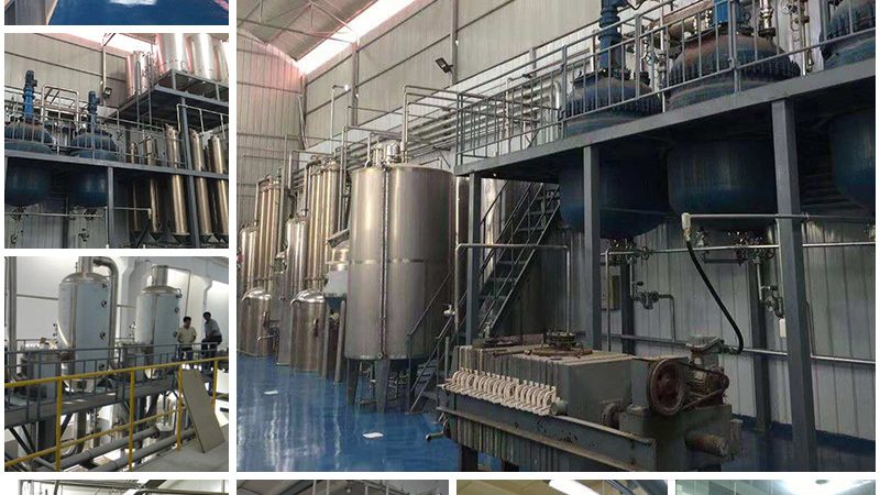 酶制剂：山东生产厂的报价解析与选购要点**
