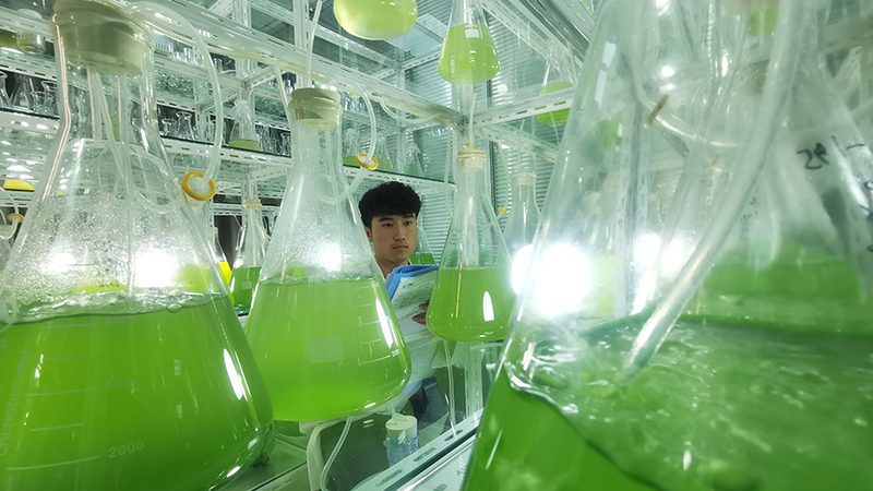食品PCR检测：如何选择可靠的机构**